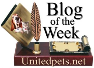 blog of the week award